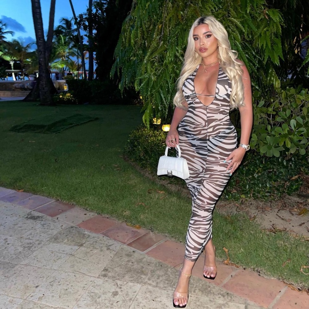 Mesh zebra dress